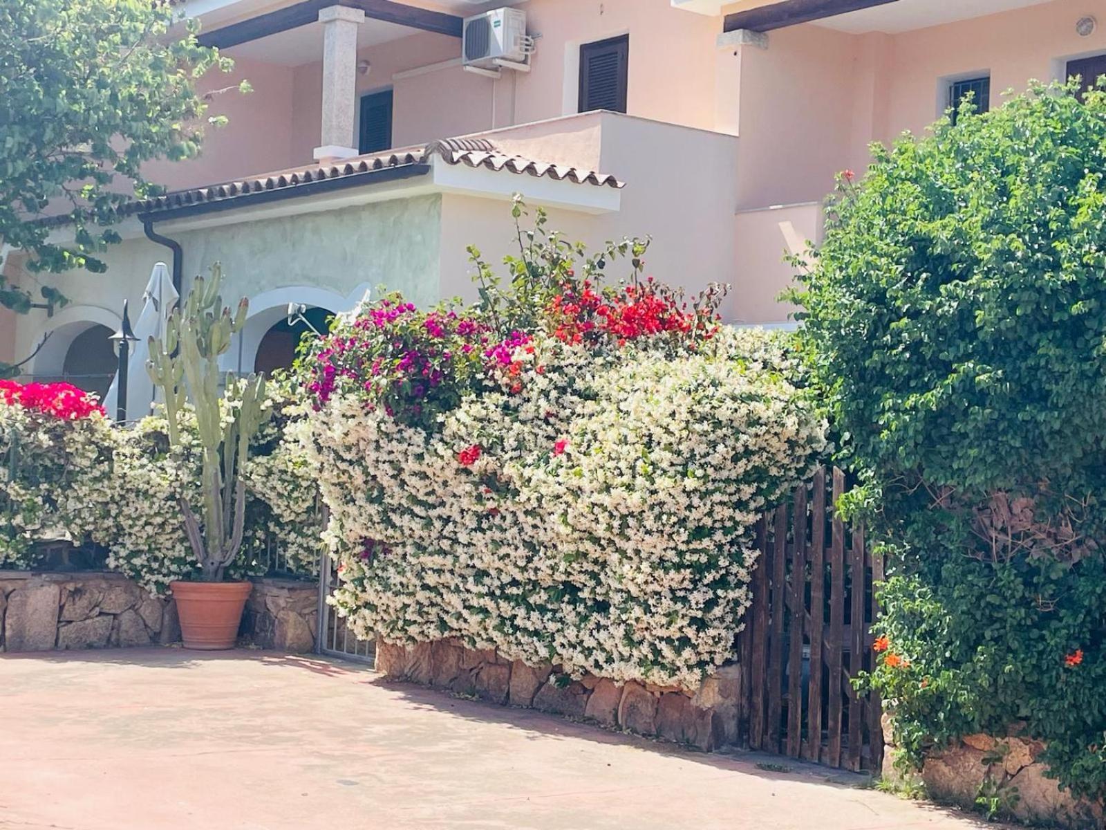 Appartamento Le Querce Vaccileddi Exterior foto